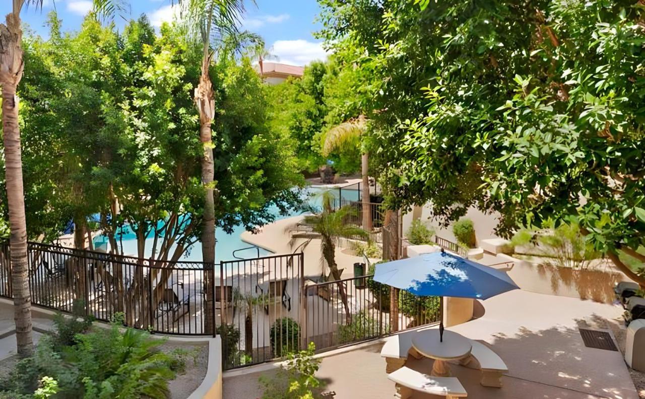 פיניקס Biltmore Bliss Desert Retreat! מראה חיצוני תמונה