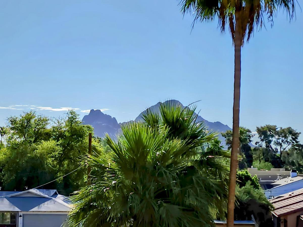 פיניקס Biltmore Bliss Desert Retreat! מראה חיצוני תמונה
